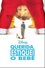 Assistir Querida, Estiquei o Bebê online